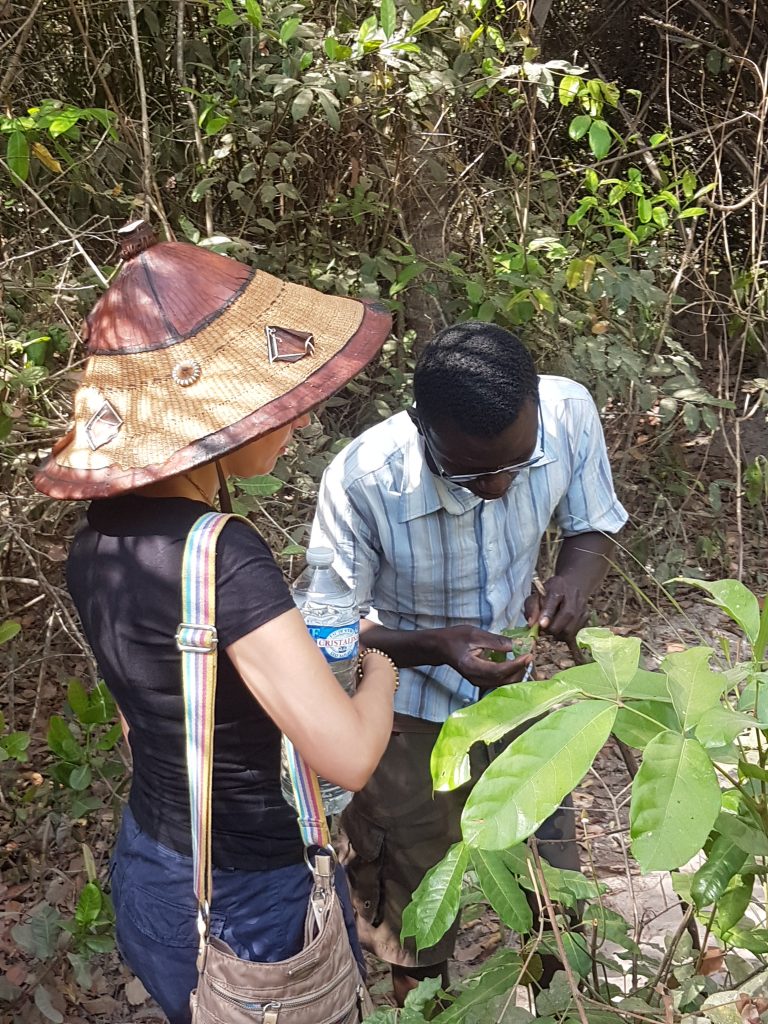 Travail de terrain